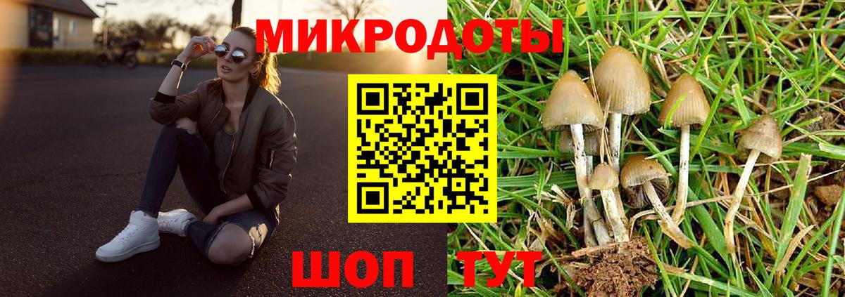 Псилоцибиновые грибы мицелий  Вход с VPN  Галлюциногенные грибы Psilocybe  Скопин 